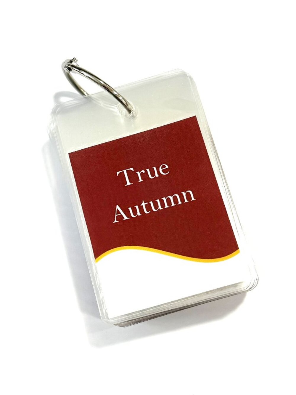 True Autumn 25 Card Seasonal Color Palette - Style Solutions for You